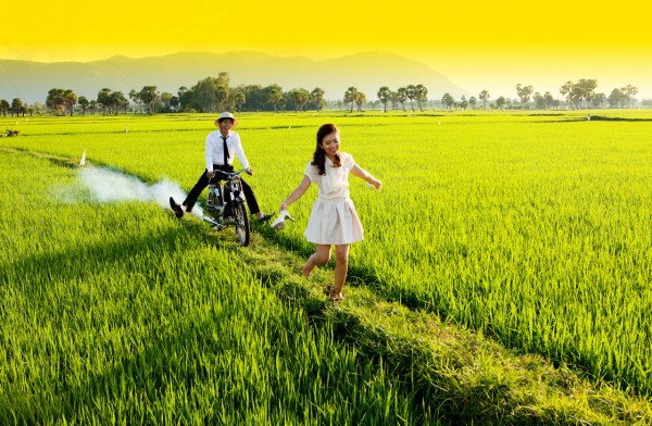 Phong cách chụp ảnh cưới Tuy Hoà Phú Yên trên cánh đồng đầy nắng
